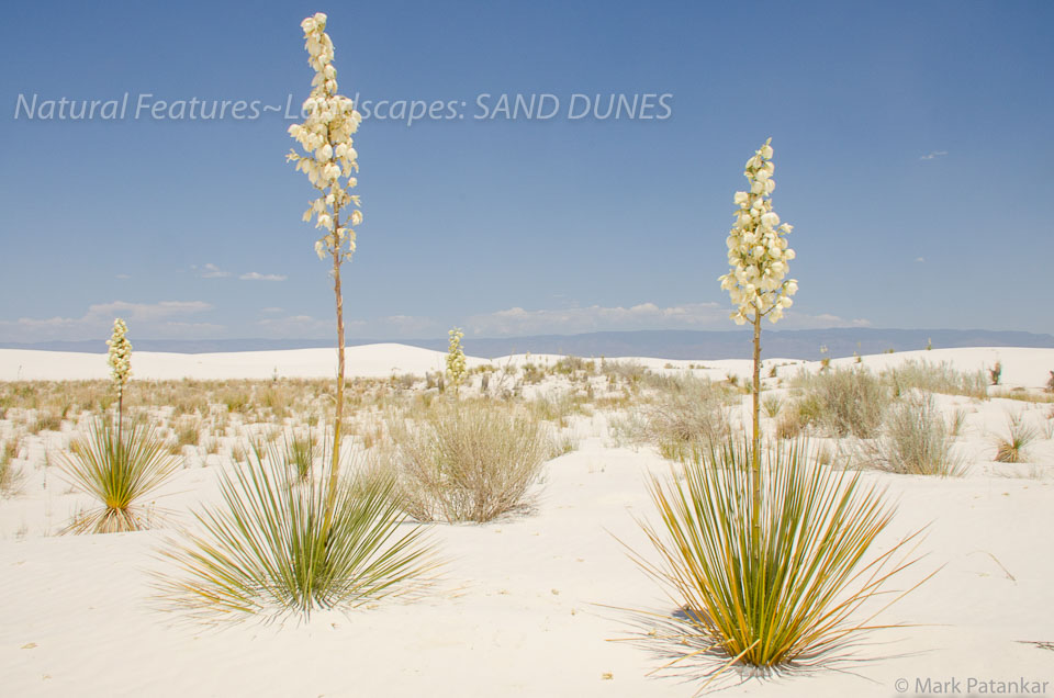 Sand-Dunes-96.jpg