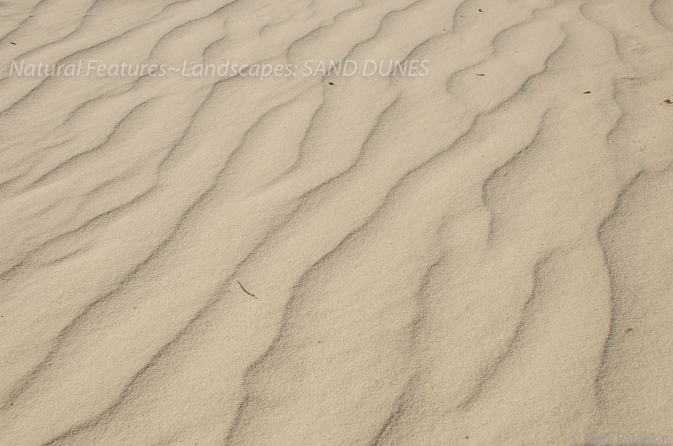 Sand-Dunes-99.jpg