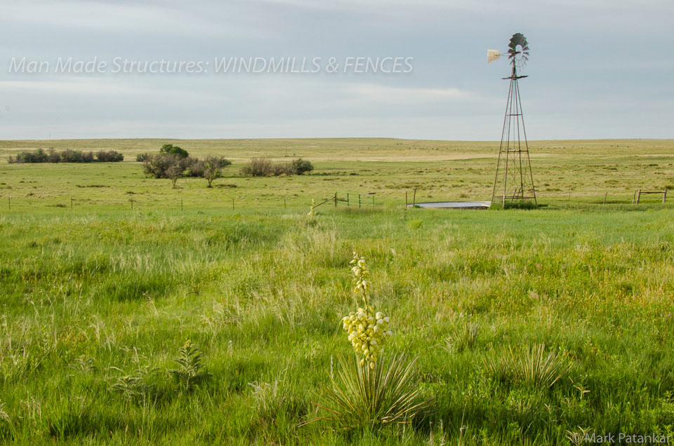 Windmills---Fences-14.jpg